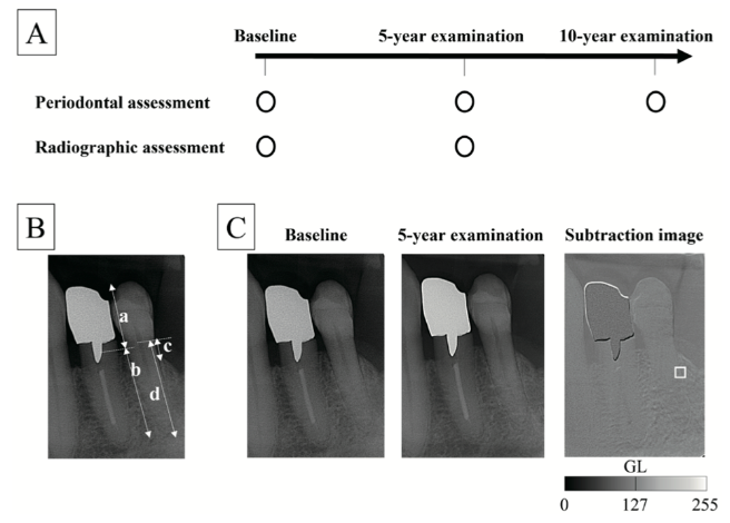 Journal Of Prosthodontic Research